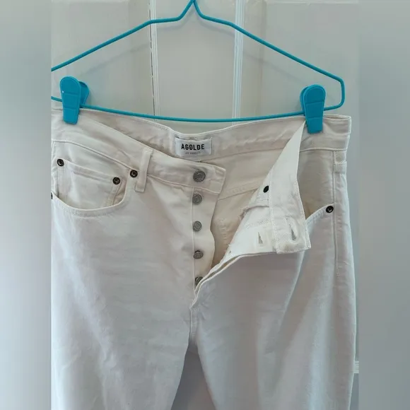 Agolde 90's Crop Mid Rise Straight Jeans