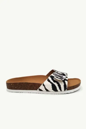 Amber Zebra