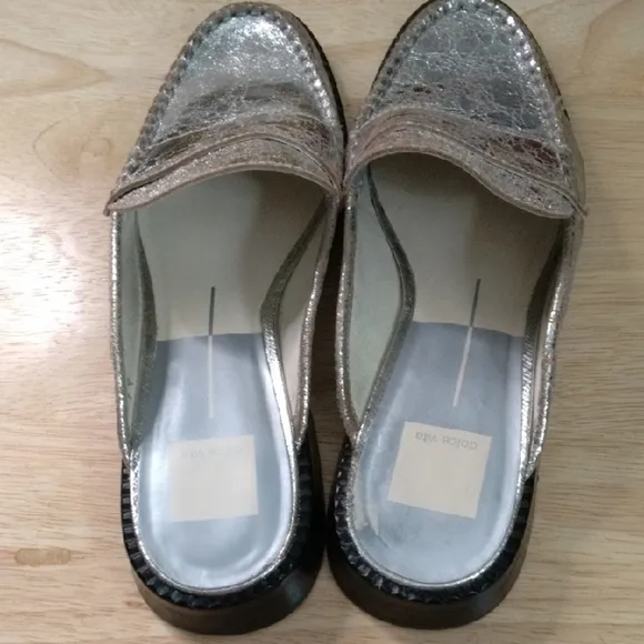 Dolce Vita Silver Flats with Suede Texture