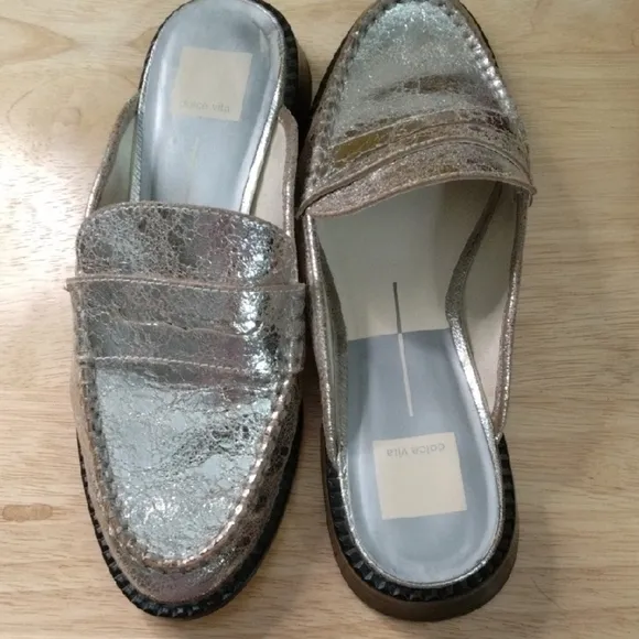Dolce Vita Silver Flats with Suede Texture