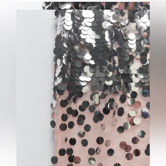 ZARA Silver Sequin Paillette Nude Mesh Tulle Sleeveless Midi Dress